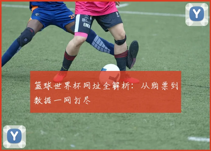 篮球世界杯网址全解析：从购票到数据一网打尽