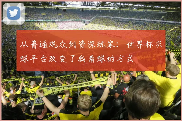 从普通观众到资深玩家:世界杯买球平台改变了我看球的方式