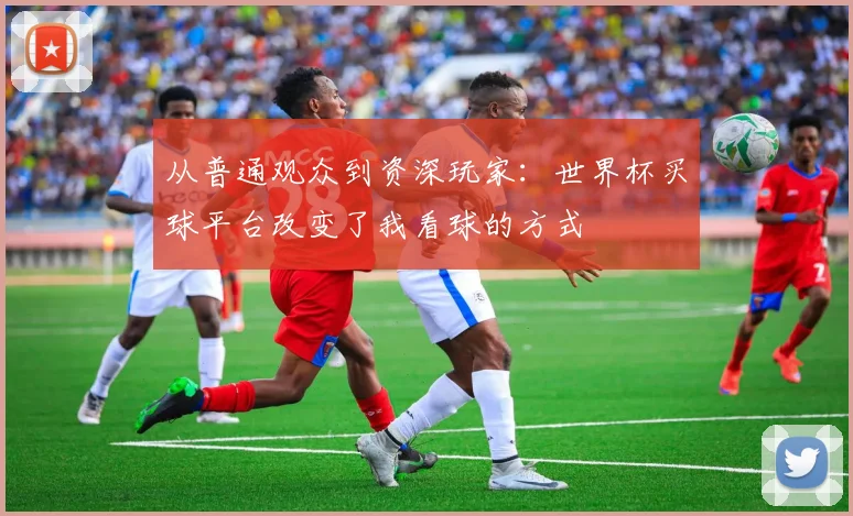 从普通观众到资深玩家：世界杯买球平台改变了我看球的方式