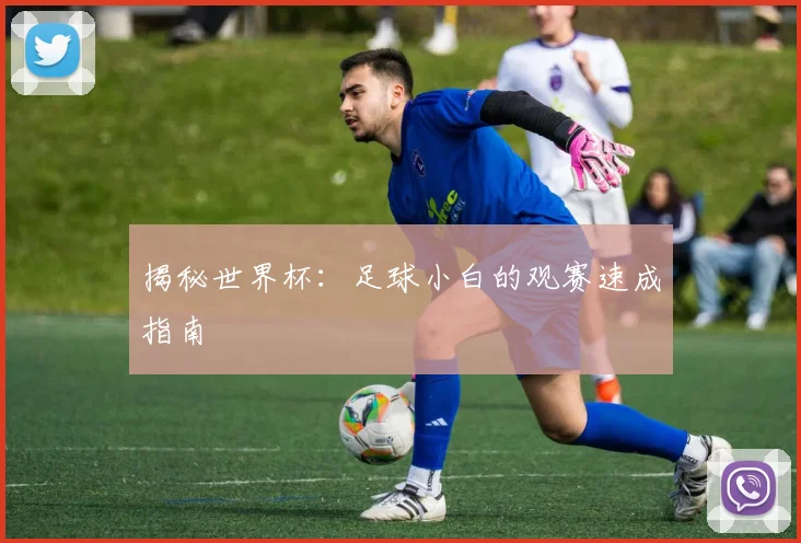 揭秘世界杯：足球小白的观赛速成指南