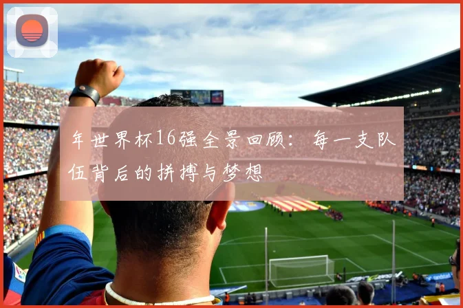 年世界杯16强全景回顾：每一支队伍背后的拼搏与梦想